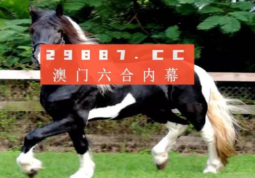 澳门和香港一肖一码一特一中挂-警惕虚假宣传，精选解析落实